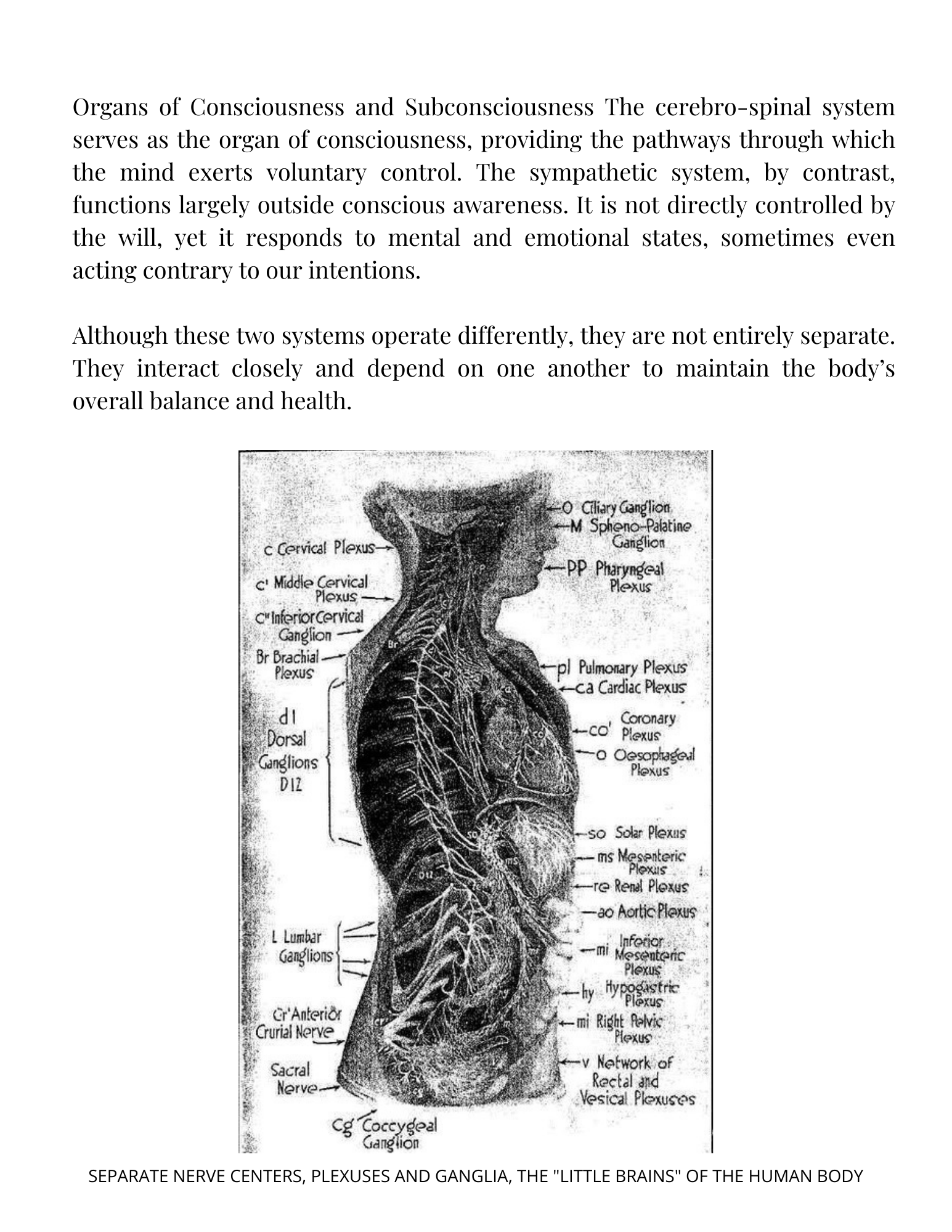 Psychology and Achievement - Image 5